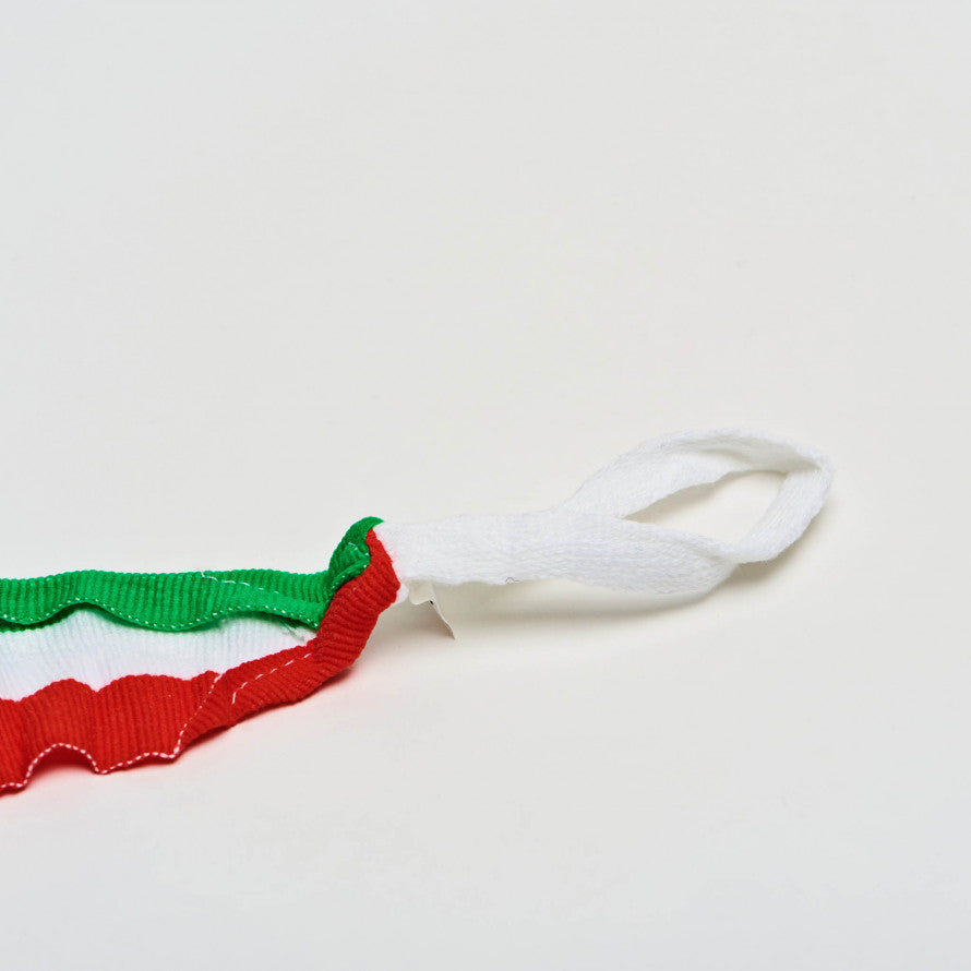 Bendaggio 3.5 Tricolore Leone