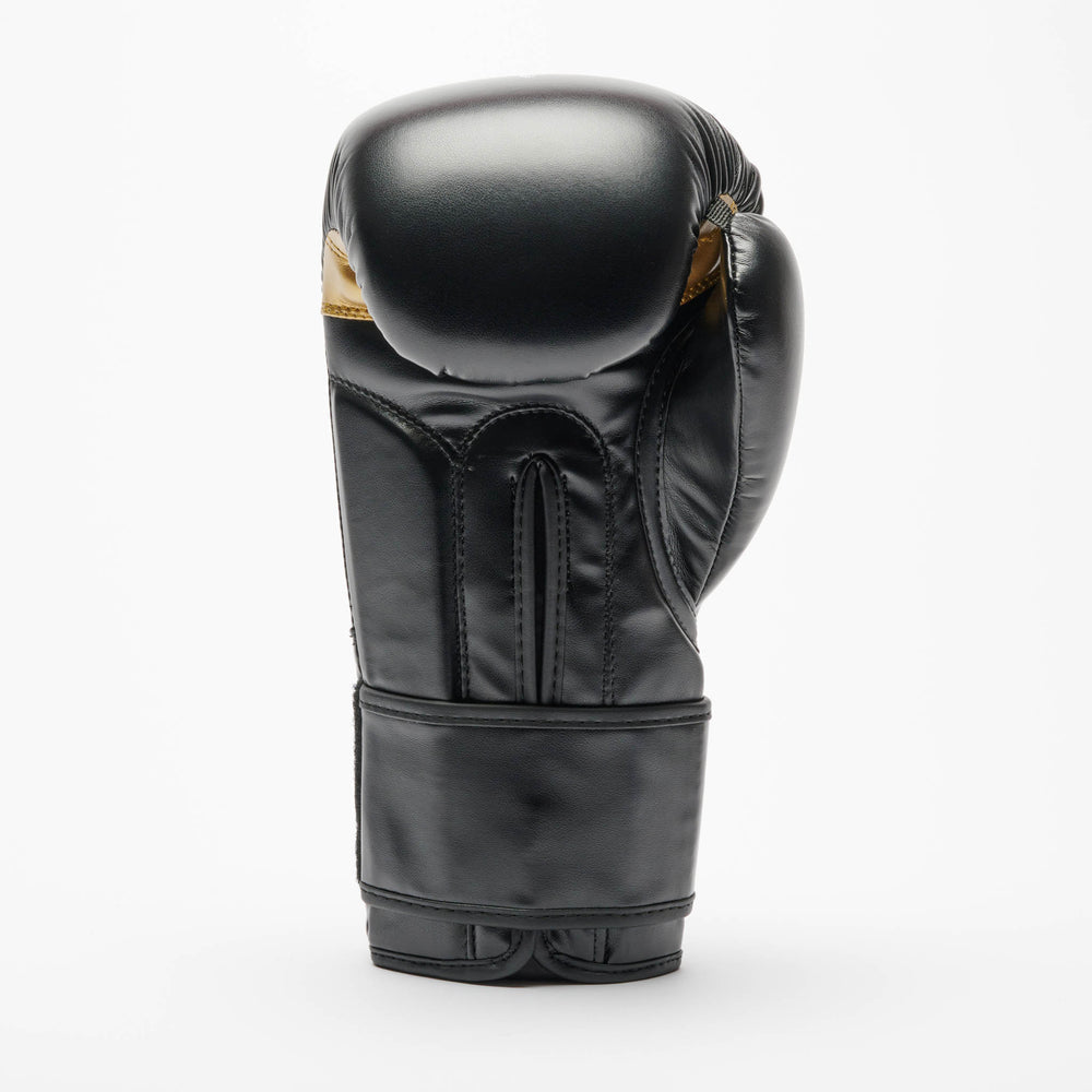 GUANTI BOXE LEONE X IUTER