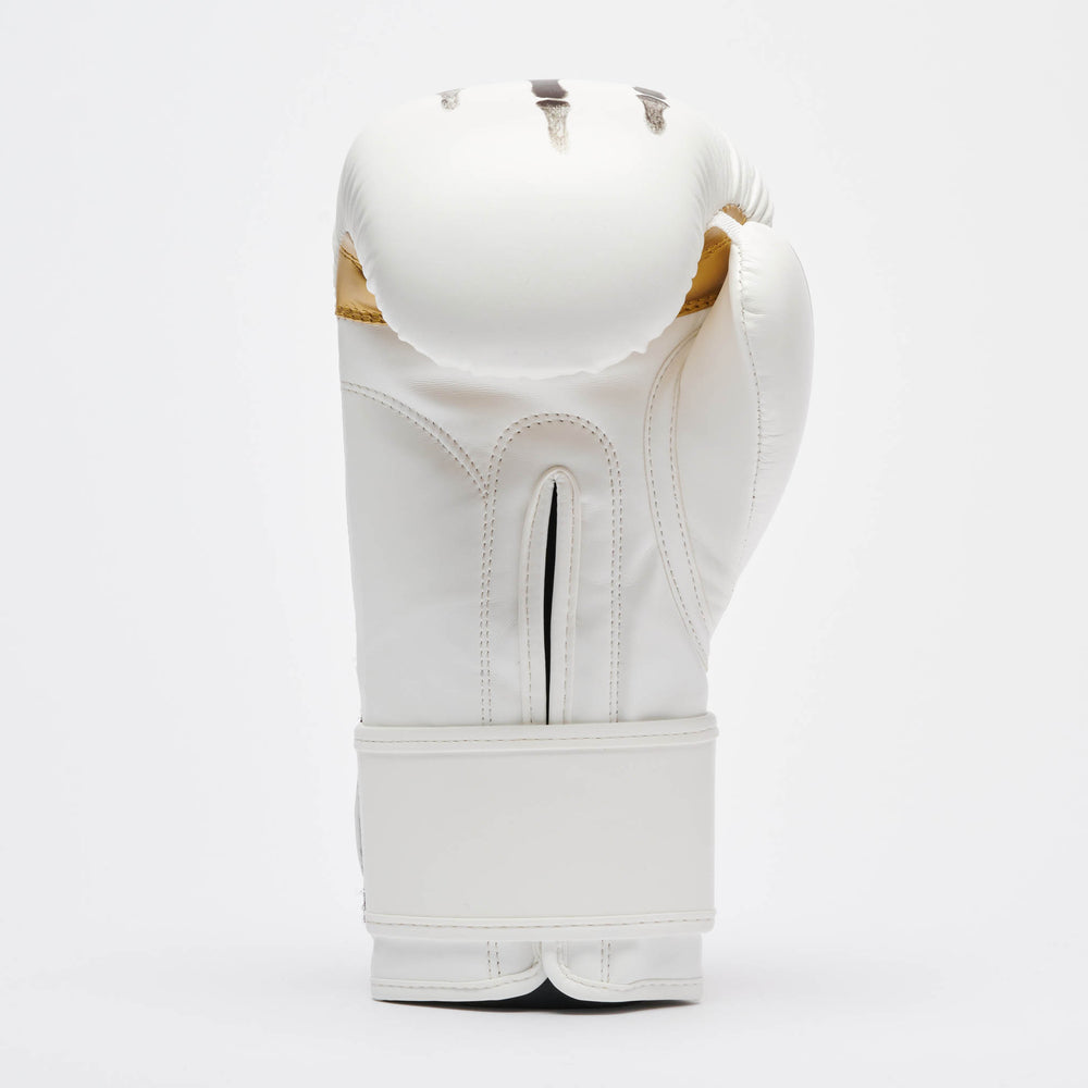 GUANTI BOXE LEONE X IUTER