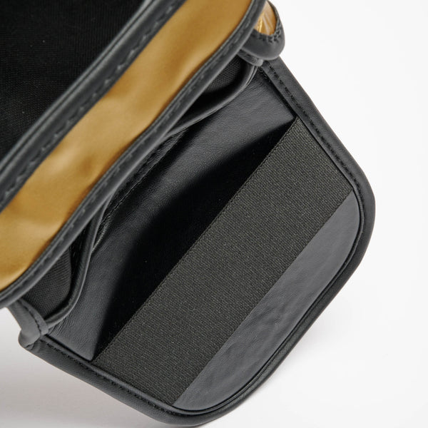 PARATIBIA LEONE X IUTER