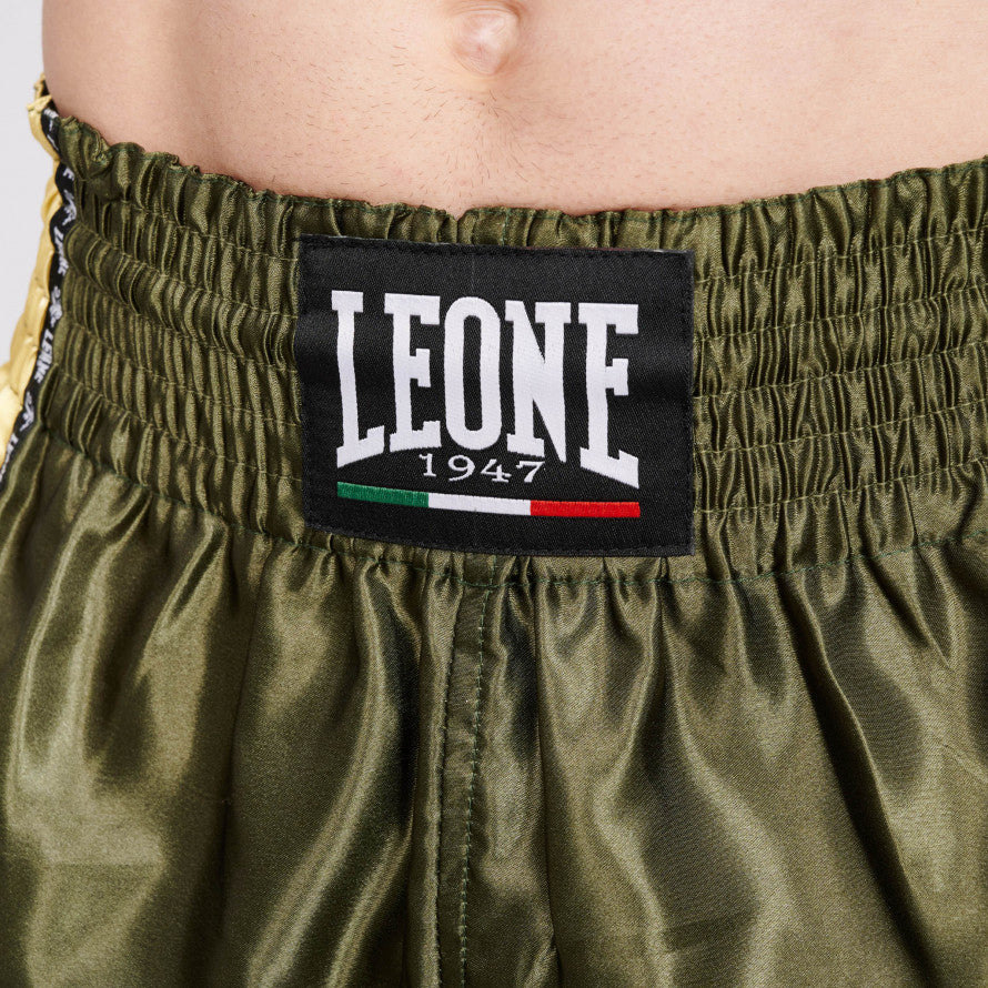 Panta Thai Training Leone 1947 VERDE